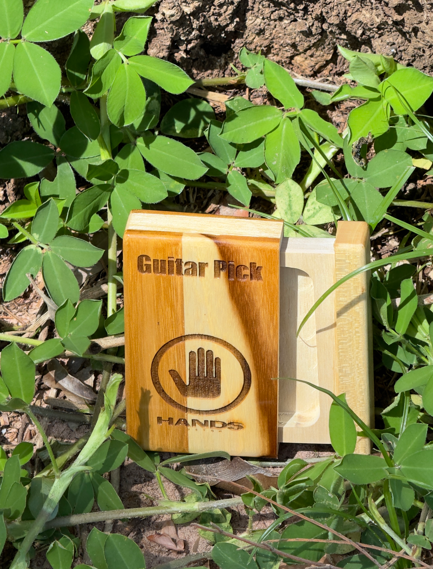 Guitar Pick