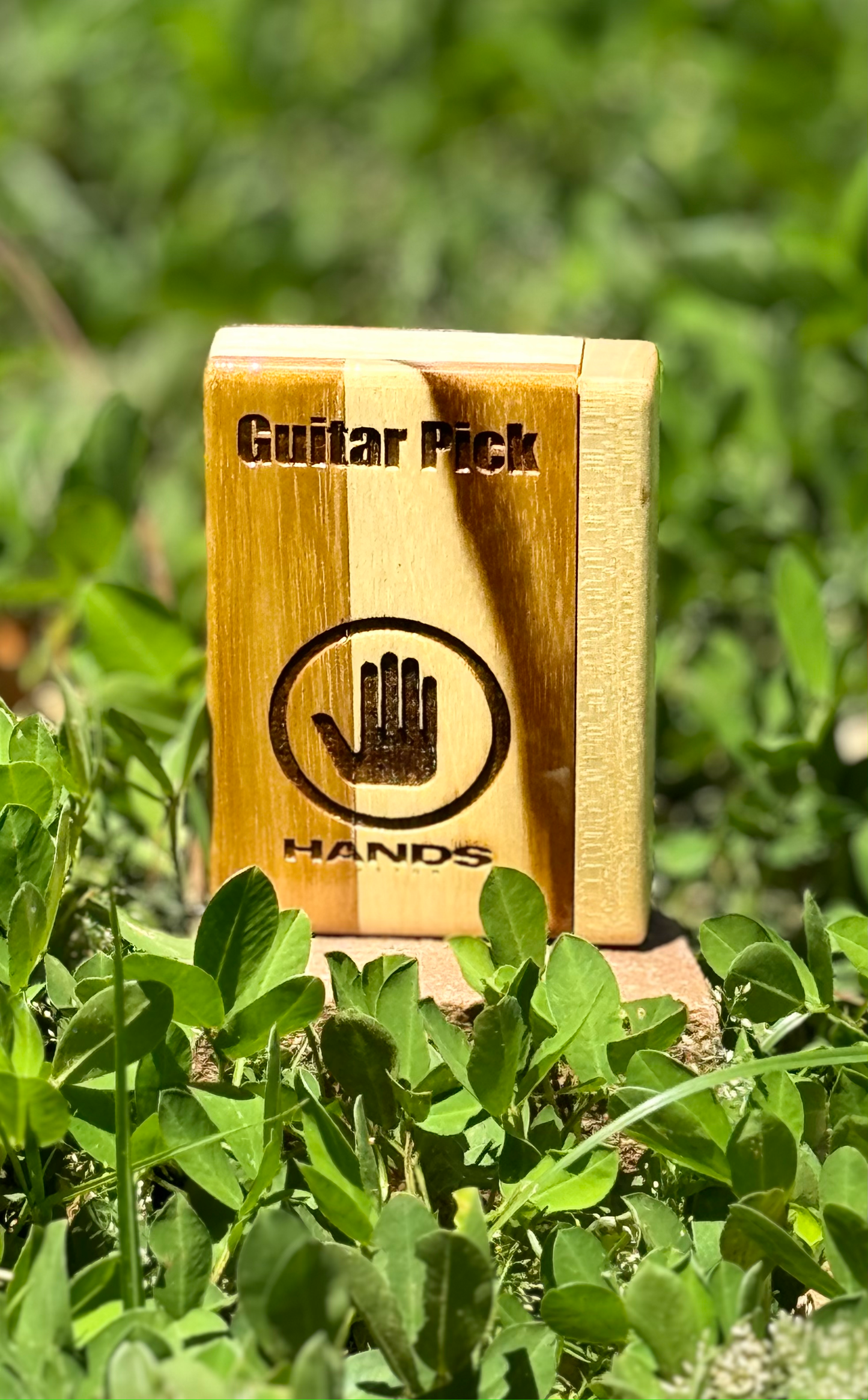 Guitar Pick
